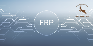 ERP
