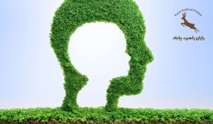 اصطلاح آموزش و توسعه، اصطلاحات آموزش و توسعه، شرح شغل، شناسنامه شغلی، آنالیز شغل، ارزیابی شغل، جبران خدمت و مزایا، مشاوره منابع انسانی، شرح وظایف، هی گروپ، چارت