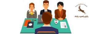 Professional Employment Interviews