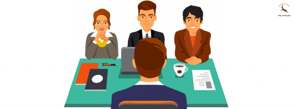 Professional Employment Interviews