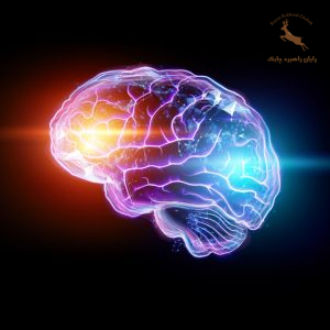 شبکه ارتباط کسب و کار اجتماعی
